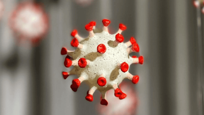 Nattokinase and Spike Protein