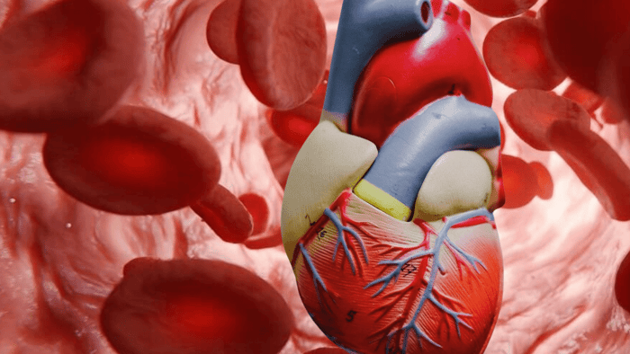 Preventing Heart Disease