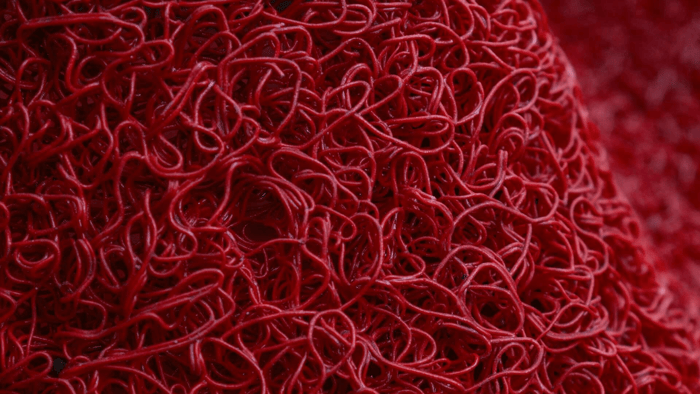 A Comprehensive Overview of Vitamin K2