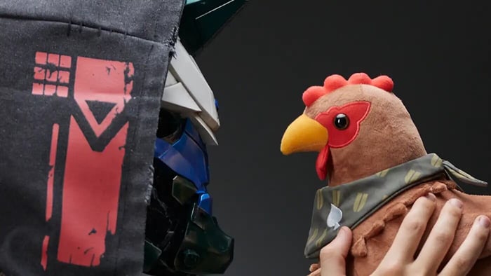 Limited Edition Destiny Items