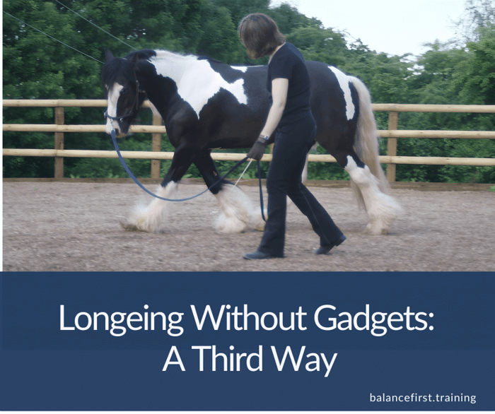 Longeing Horses In Balance Without Gadgets: A Third Way