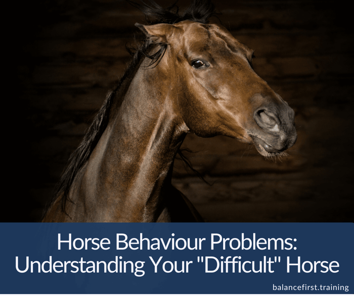Horse Behaviour Problems: Understanding Your 