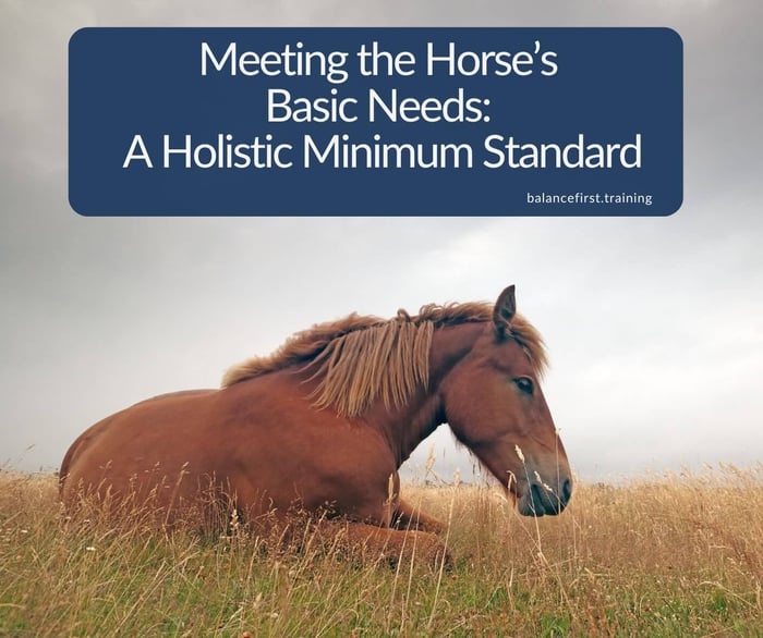 Meeting the Horse’s Basic Needs: A Holistic Minimum Standard
