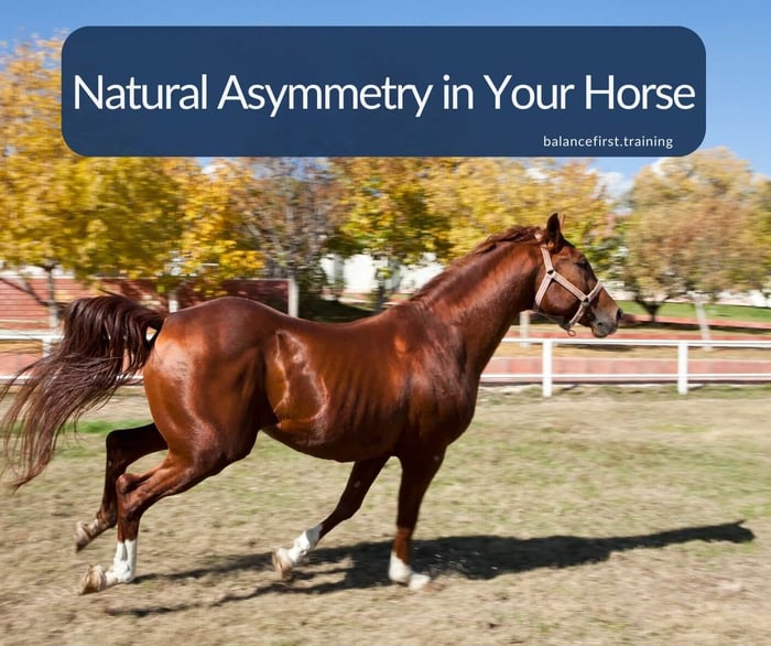 Natural asymmetry in your horse