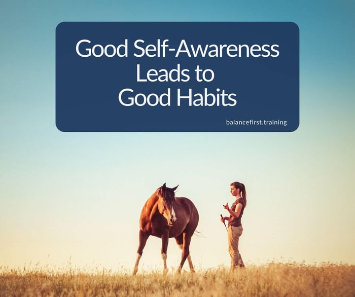 Good self-awareness leads to good habits