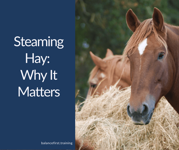 Steaming Hay: Why It Matters