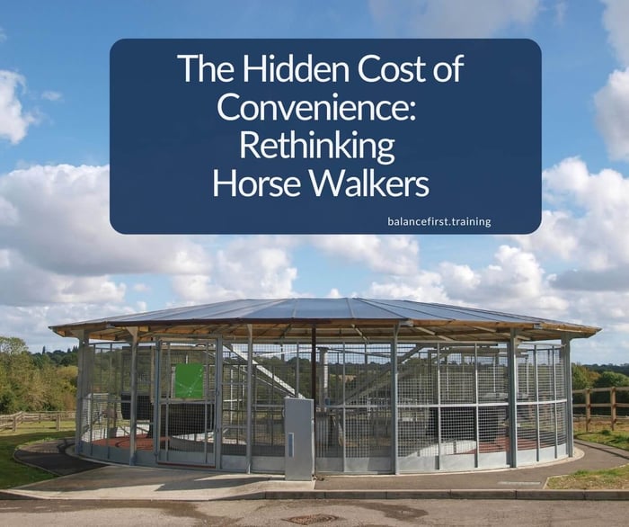The Hidden Cost of Convenience: Rethinking Horse Walkers