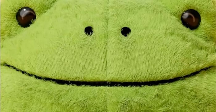 Ricky Rain Frog's reasons to smile