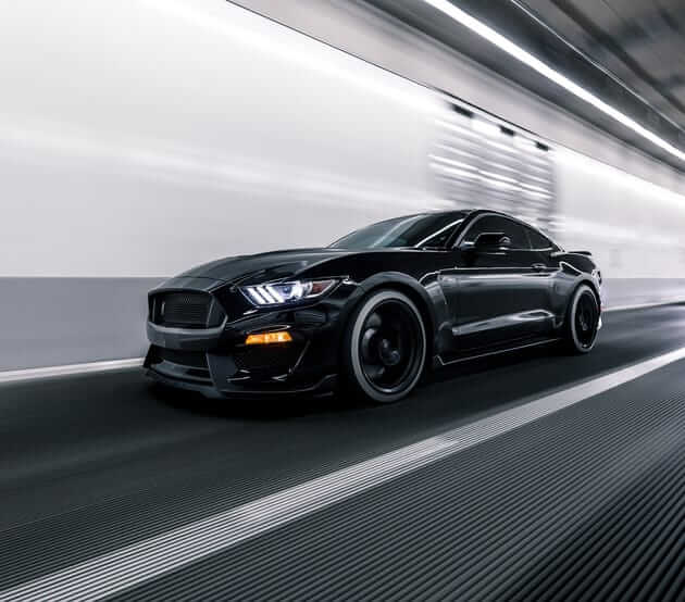 Unbridled Passion: Unveiling the Best Shelby of 2024