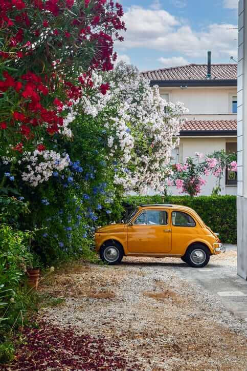 Cruising through La Dolce Vita: Picking the Best Fiat of 2022