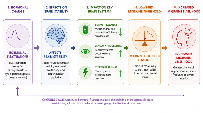 Diagram showing how hormonal changes affect brain stability and lower the migraine threshold