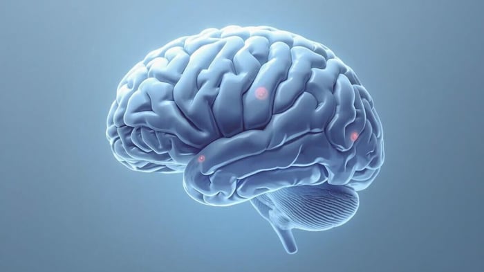 Nutrition and Migraine Support