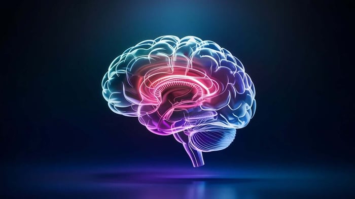 Digital illustration of human brain glowing with neon highlights