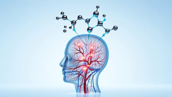 Illustration of human head with brain blood vessels and molecular structure above