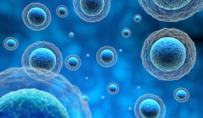 Cell Isolation