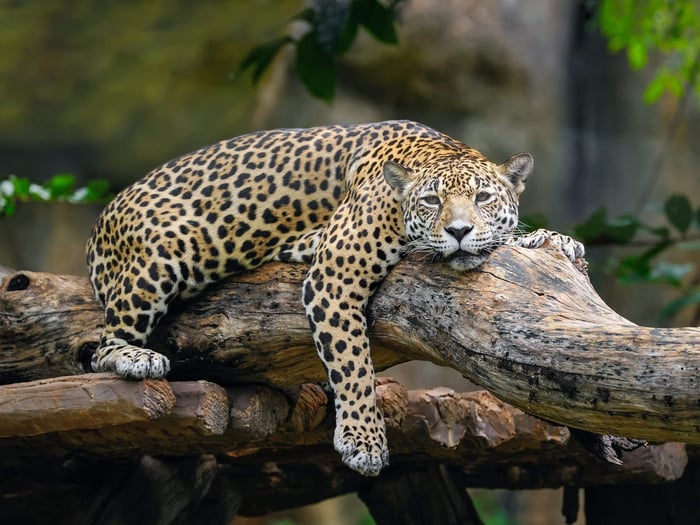 Why Belize should be your next holiday destination