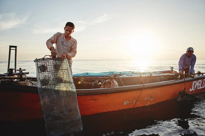 Panel nets with oysters