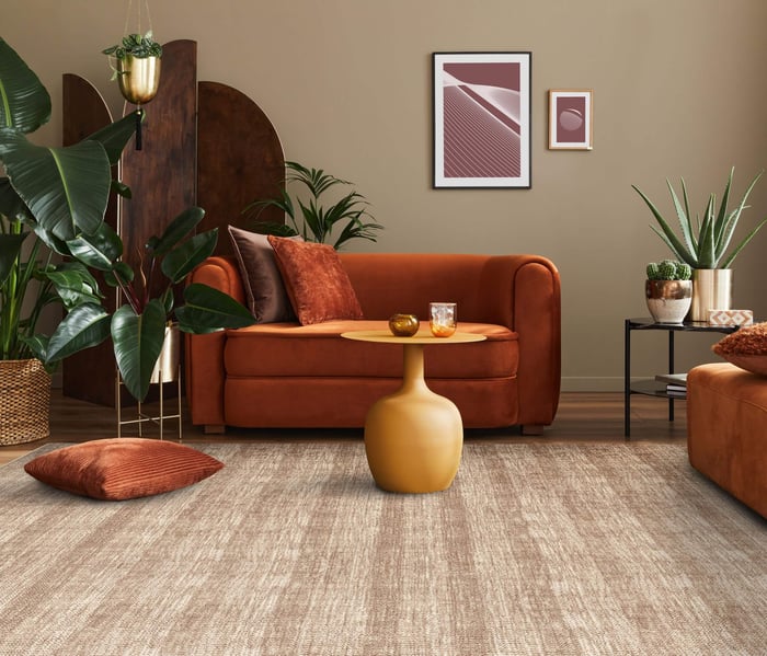 The Art of Effortless Elegance: Best Carpet Color to Hide Dirt