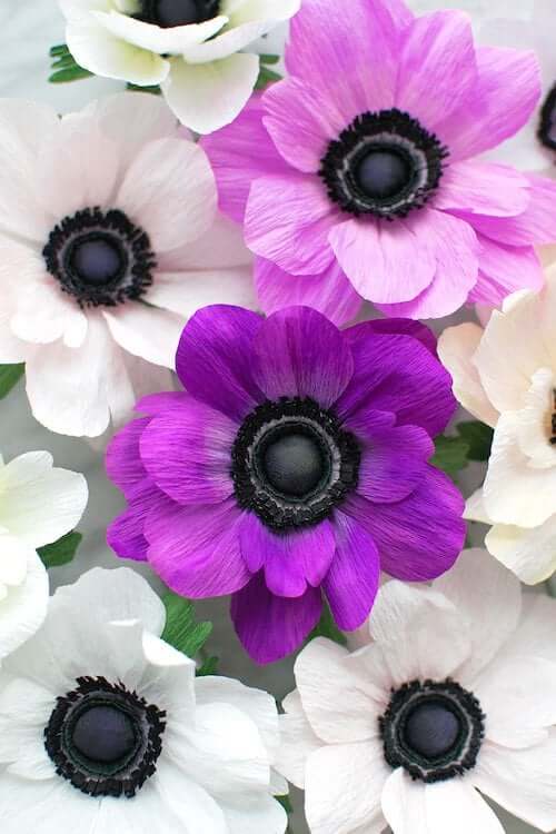 Crepe Paper Anemone Workshop