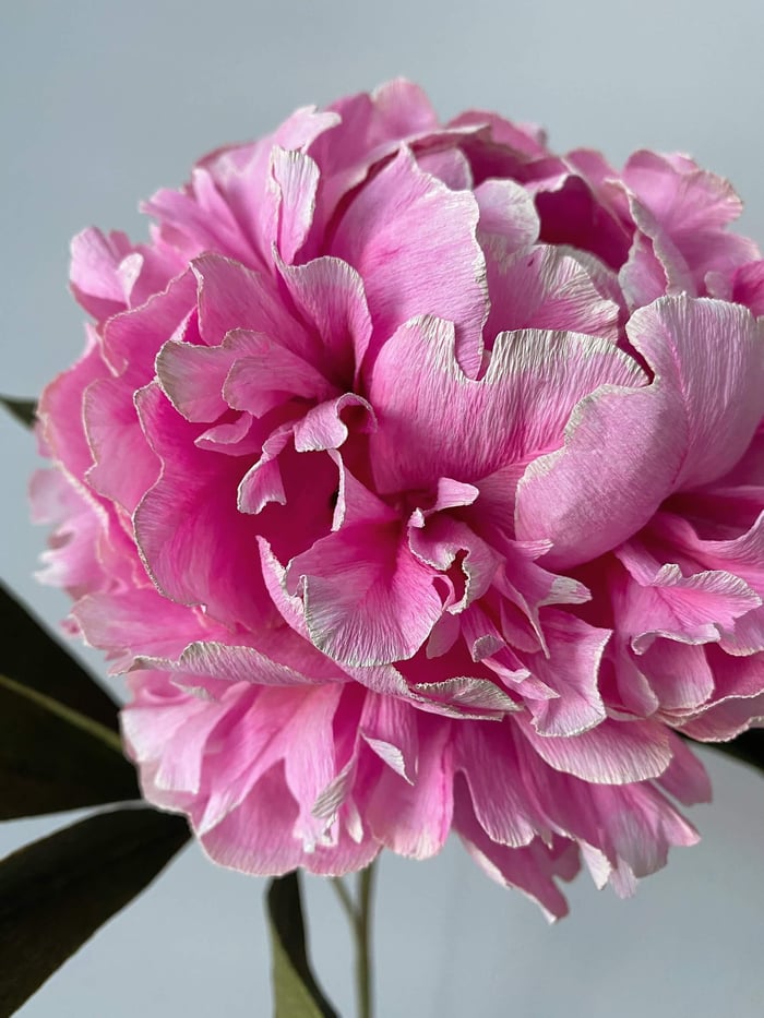 How I'm Inspired by Haute Couture in My Paper Flower Art