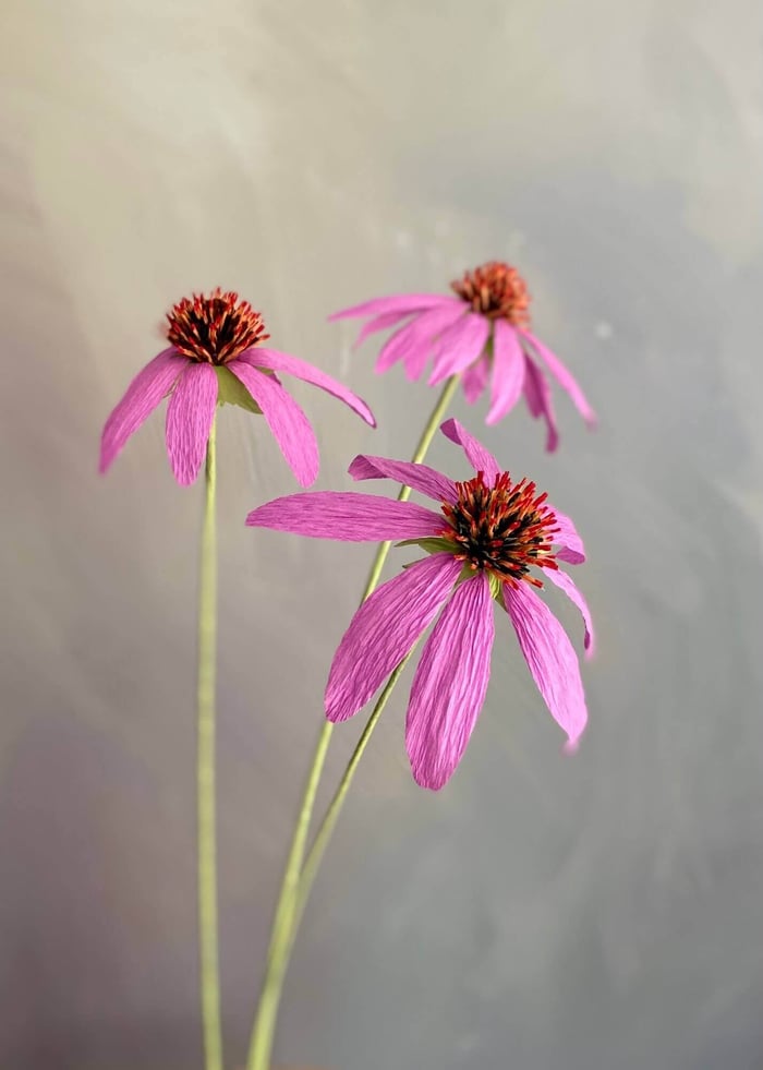 Crepe Paper Coneflower Workshop in Richmond Hill