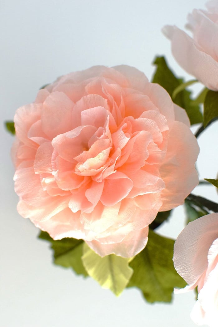 Lia Griffith Crepe Paper Review