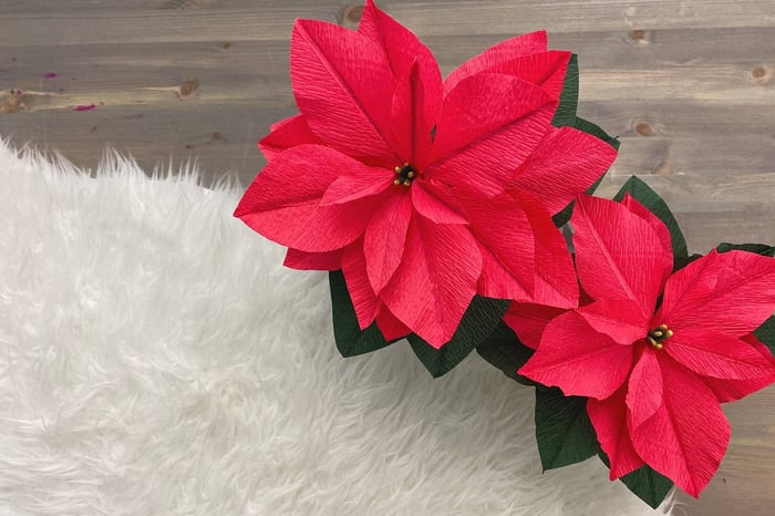Paper Flower Christmas Poinsettia Tutorial