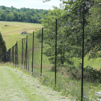 Deer Fences vs. Animal Fences