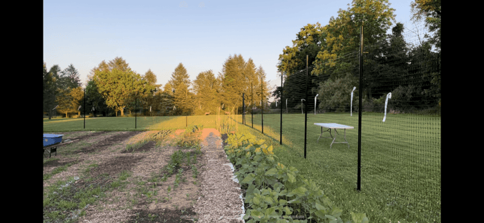 How a Garden Fence Can Protect Your Hard Work From Deer