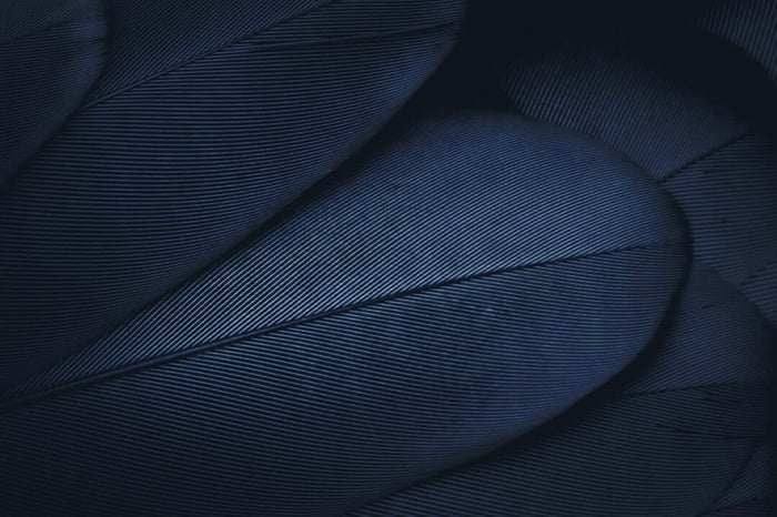 Your A Game: Which vitamins give you healthy eyes?