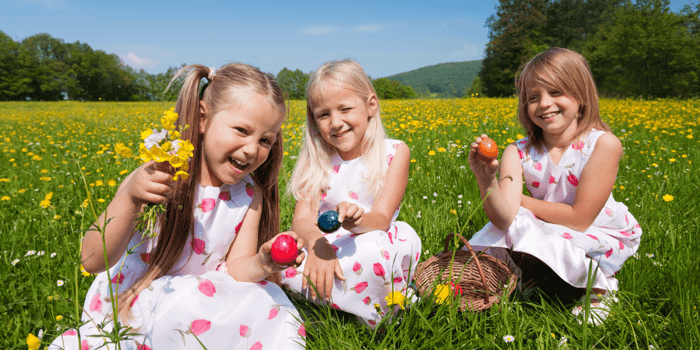 Easter 2027 Egg Filler Ideas: What to Know Before You Buy