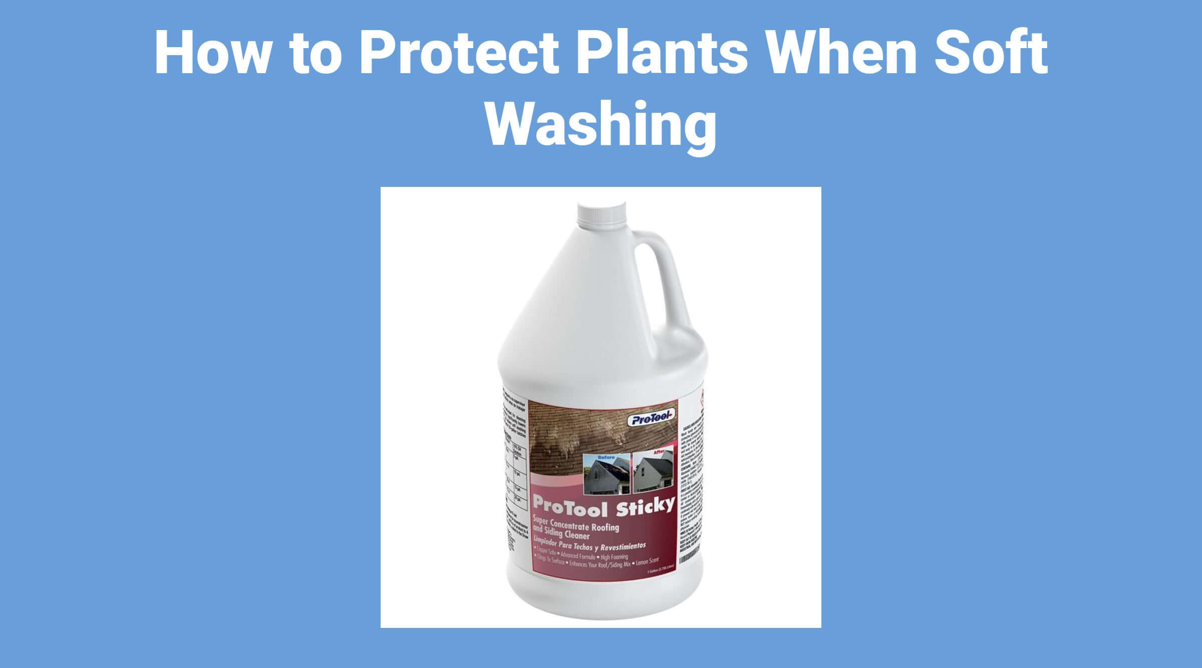 How to Protect Plants When Soft Washing