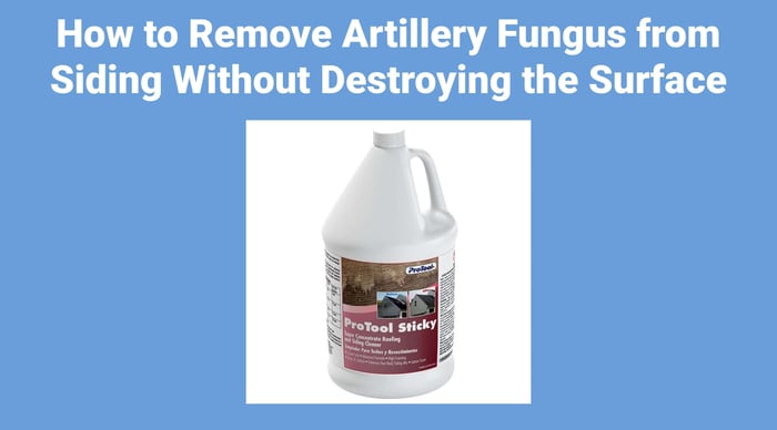 How to Remove Artillery Fungus from Siding: Professional Protocol