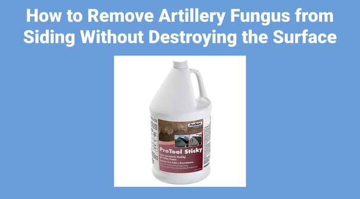 How to Remove Artillery Fungus from Siding Without Destroying the Surface