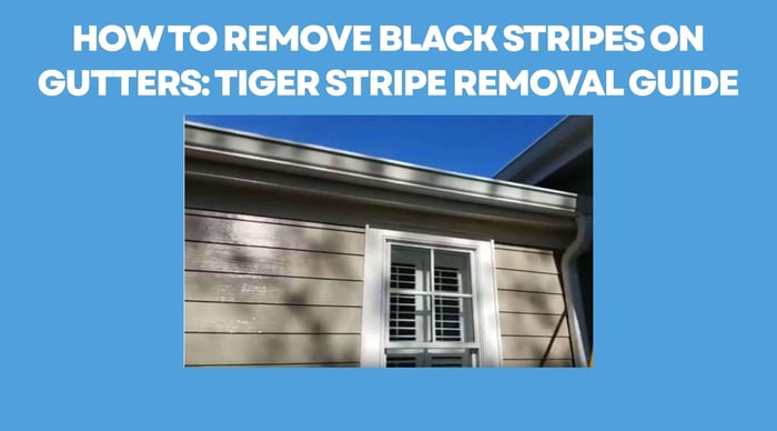 How to Remove Black Stripes on Gutters: Tiger Stripe Removal Guide