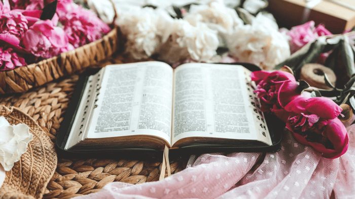 Renewing Your Mind Daily: What Romans 12:2 Looks Like in Real Life