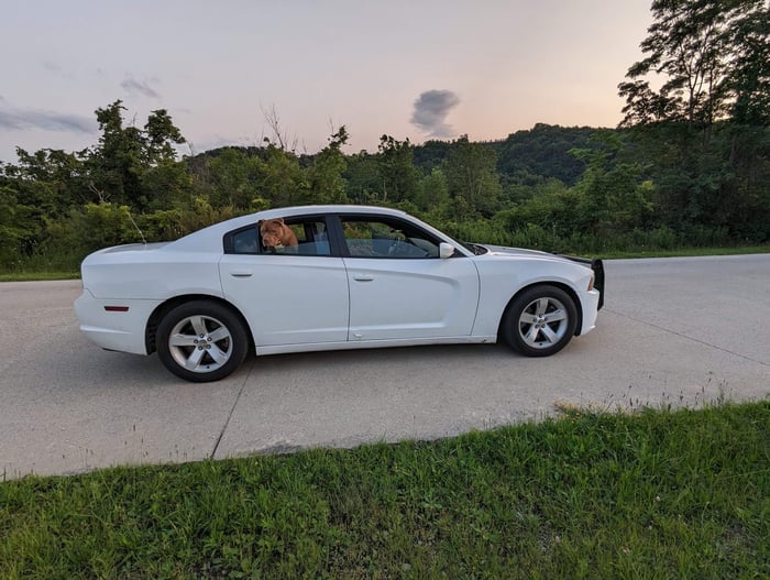 To Protect and Serve: Lessons from Three Decades on Patrol with Michel Kershner