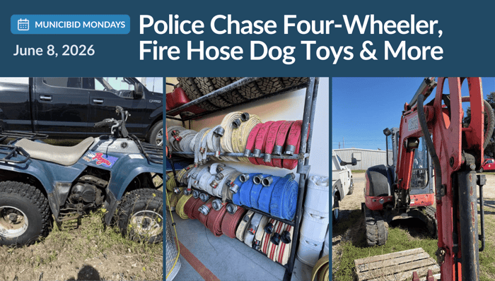 Police Chase Four-Wheeler, Fire Hose Dog Toys & More Wild Auctions