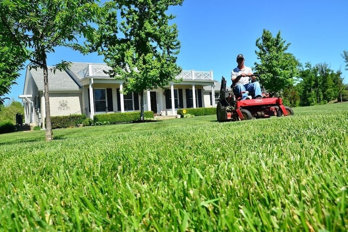 The Science Behind Lawn Care: What's Feeding Your Business?