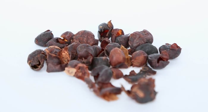 O que é Cascara? Guia Completo sobre a Casca do Café e Seus Usos