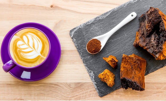 Chagaccino: o que é e como preparar o cappuccino de cogumelo