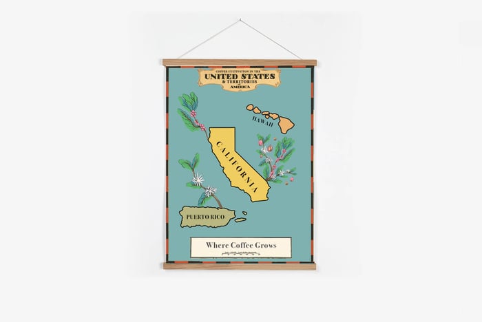 O café cresce nos Estados Unidos?