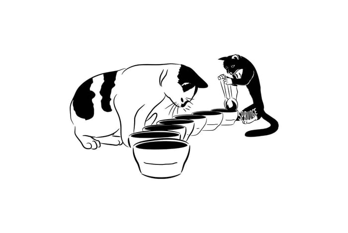 O que é Coffee Cupping? Entenda a prova profissional de café