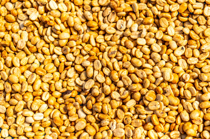 O que é coffee honey? Entenda o método que transforma o sabor do café