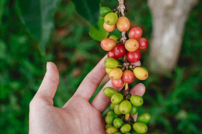 Avança Café Seleciona 26 Startups Inovadoras