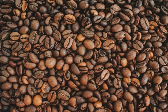 Transferência de tecnologia em Rondônia enfoca cuidados na colheita e pós-colheita para qualidade do café