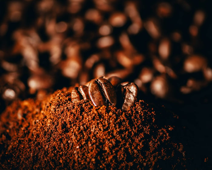 Cocatrel Lança App Financeiro para Produtores