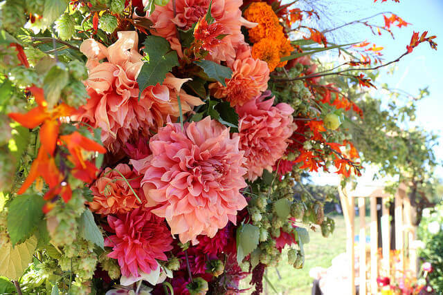 Field to Vase Event Celebrates Locally-Grown Cut Flowers