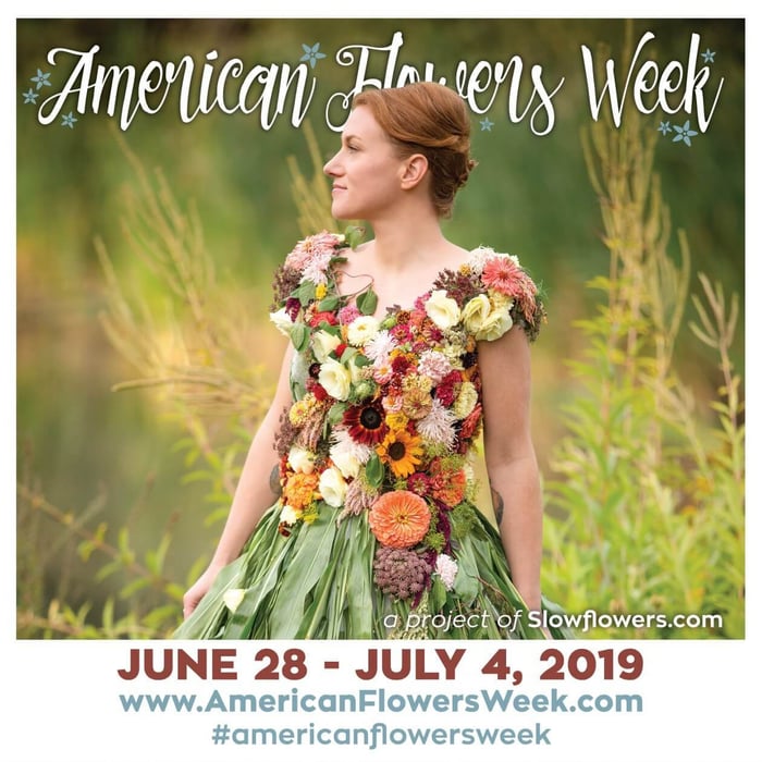 American Flowers Week: Celebrate Locally-Grown Cut Flowers