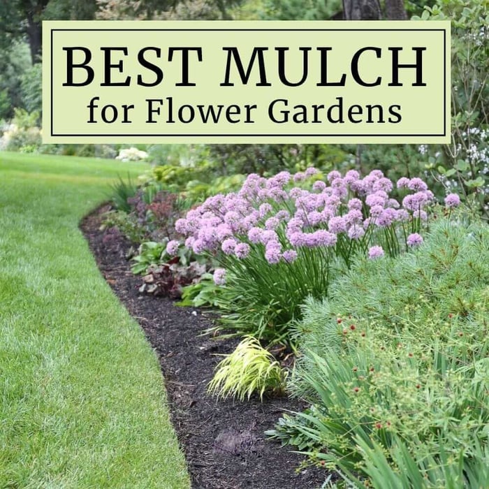 How to Choose the Best Mulch for Flower Gardens